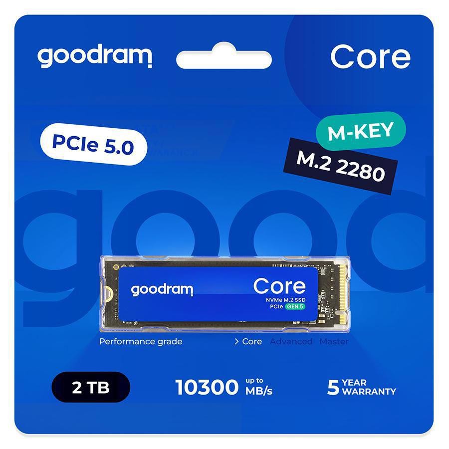 Goodram Internal Solid State Drive 2