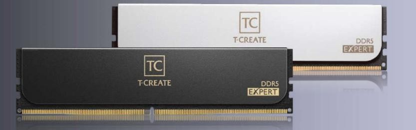 Team 2G6000Hc38Adc01 Memory Module